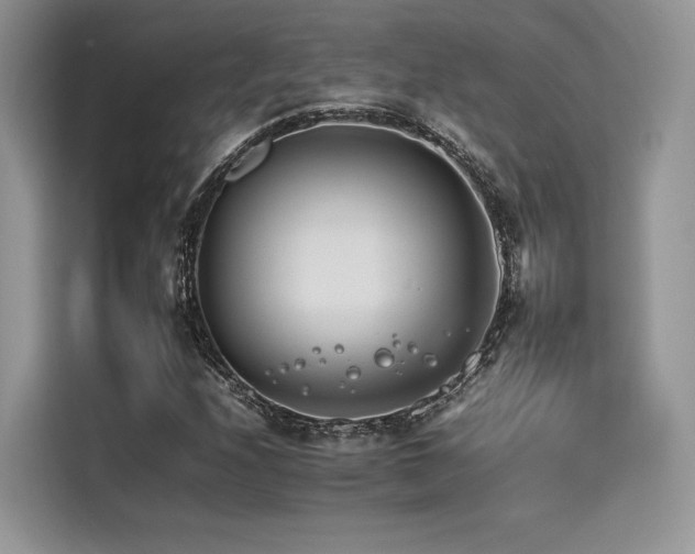 X0000116261208200911301146