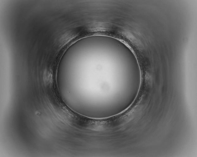 X0000116261209200911301146