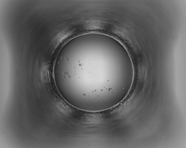 X0000116261210200911301146