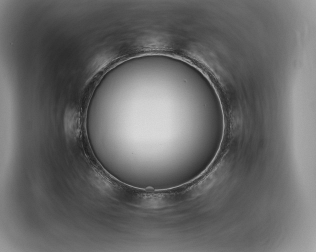 X0000116261211200911301146