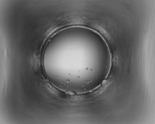 X0000116261212200911301146