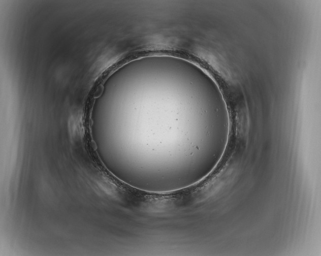X0000116261213200911301146