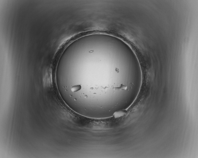 X0000116261214200911301146