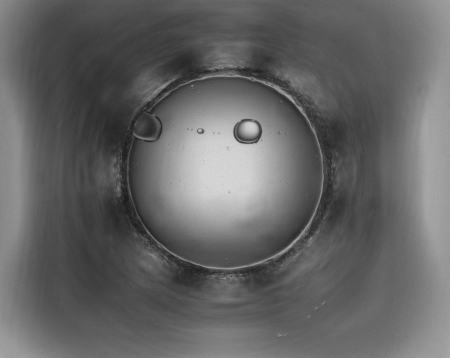 X0000116261217200911301146