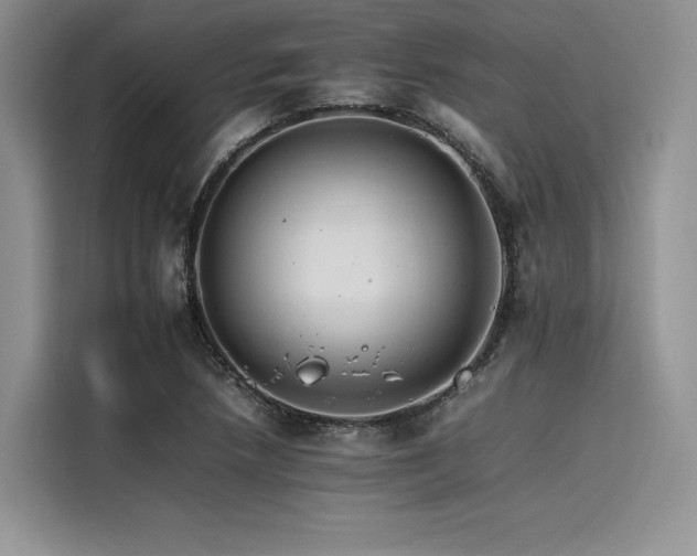 X0000116261218200911301146