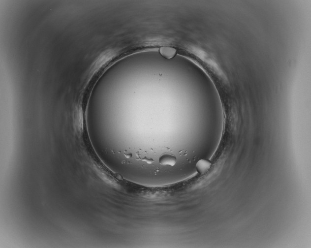 X0000116261221200911301146