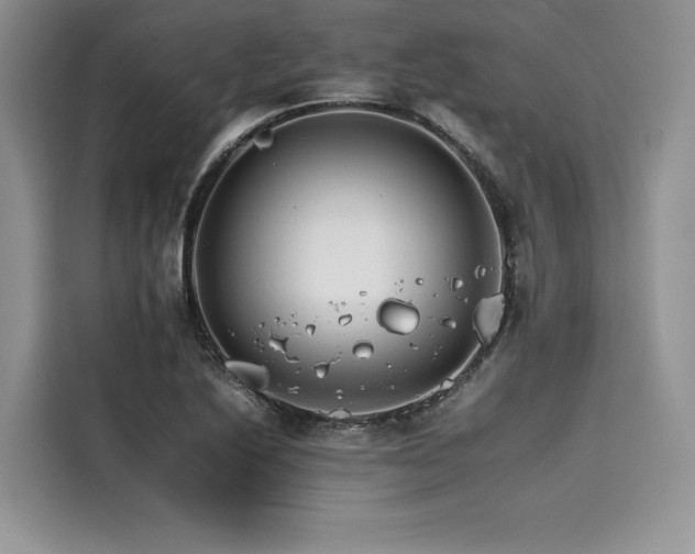 X0000116261222200911301146