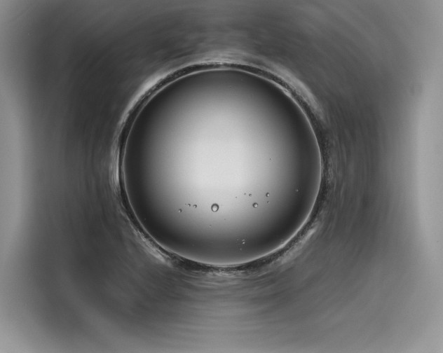 X0000116261224200911301146