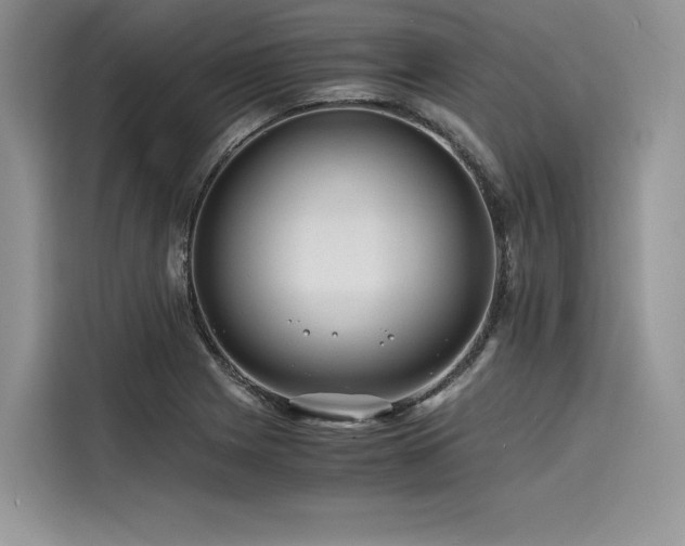 X0000116261225200911301146