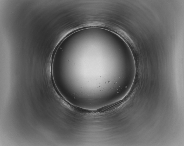 X0000116261228200911301146