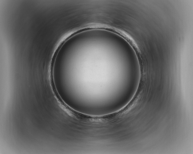 X0000116261231200911301146