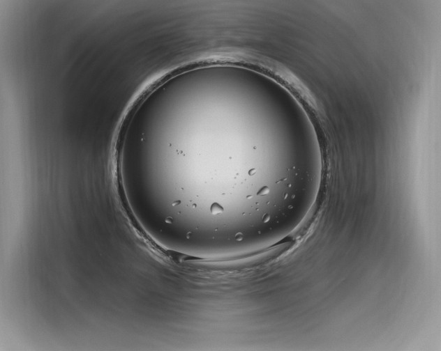 X0000116261232200911301146