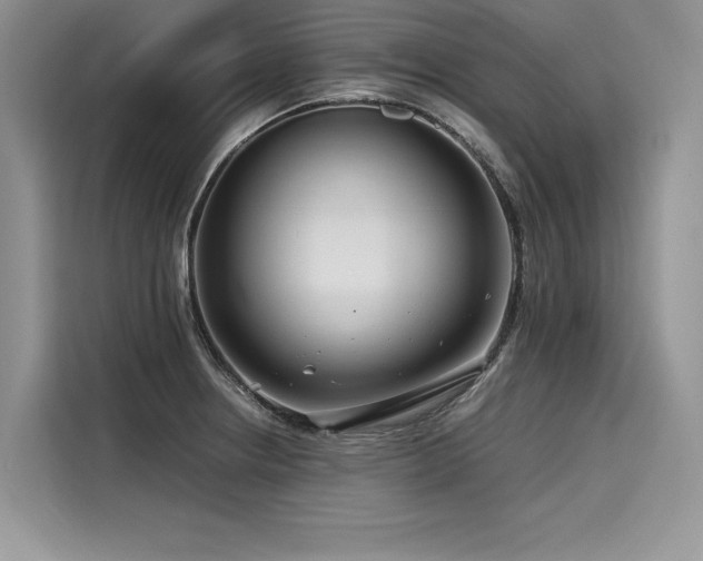 X0000116261234200911301146