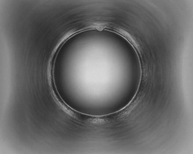 X0000116261235200911301146