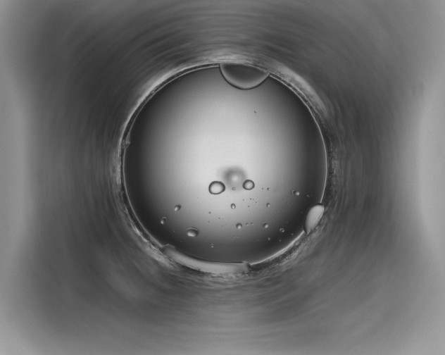 X0000116261236200911301147
