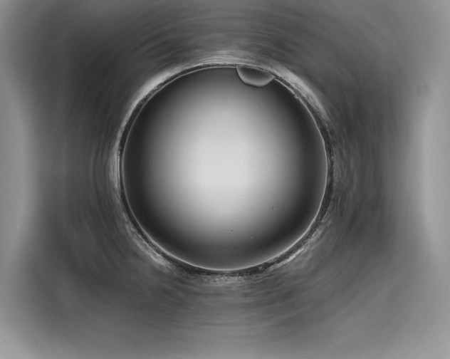 X0000116261238200911301147