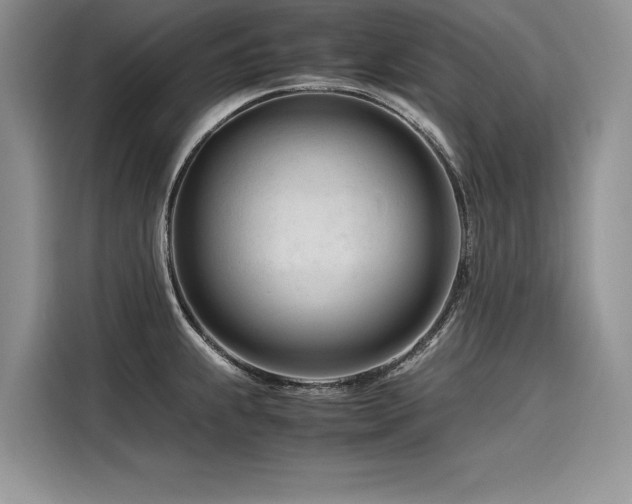 X0000116261239200911301147