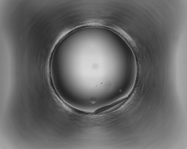 X0000116261240200911301147