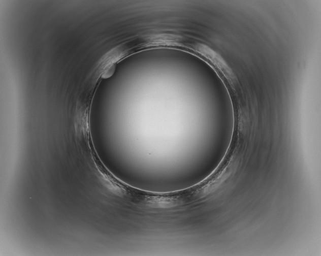 X0000116261241200911301147