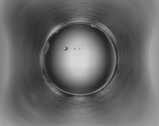 X0000116261242200911301147