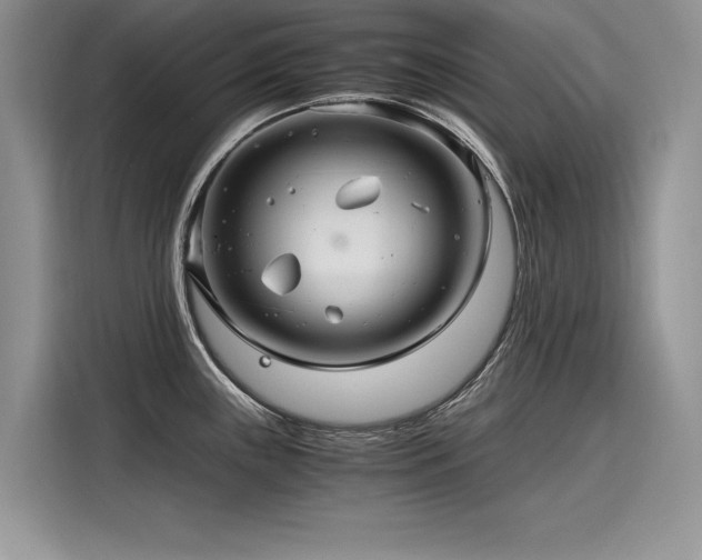 X0000116261243200911301147