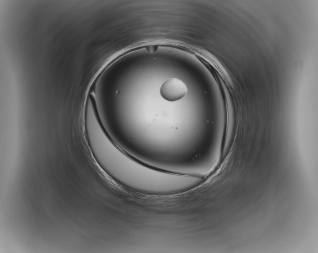 X0000116261244200911301147