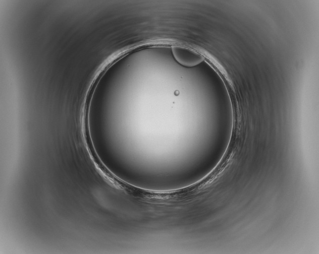 X0000116261245200911301147