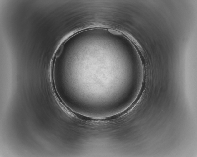 X0000116261246200911301147