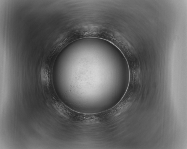 X0000116261250200911301146