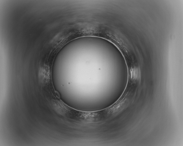 X0000116261251200911301146