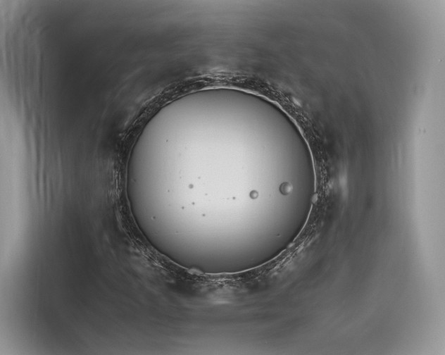 X0000116261253200911301146