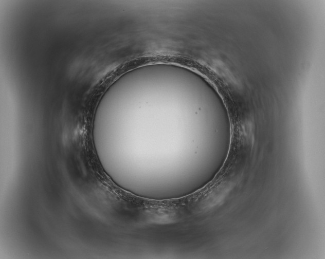 X0000116261254200911301146