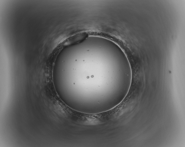 X0000116261255200911301146
