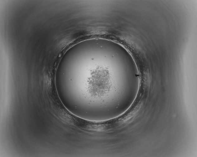 X0000116261257200911301146
