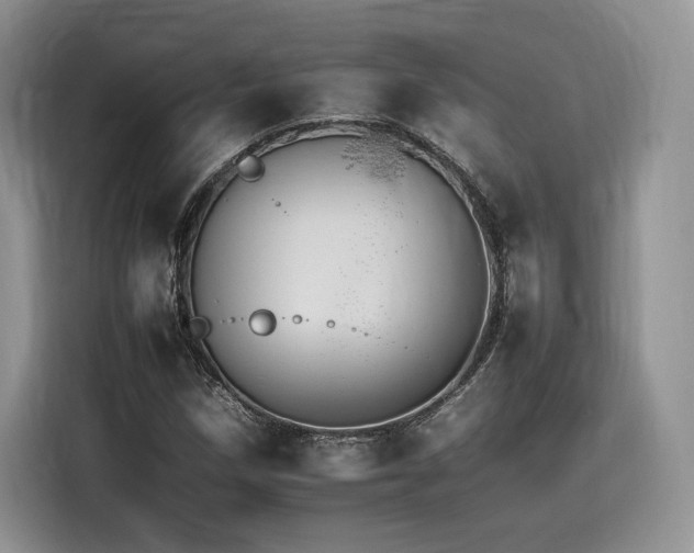 X0000116261258200911301146