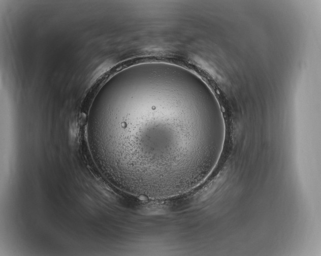 X0000116261259200911301146