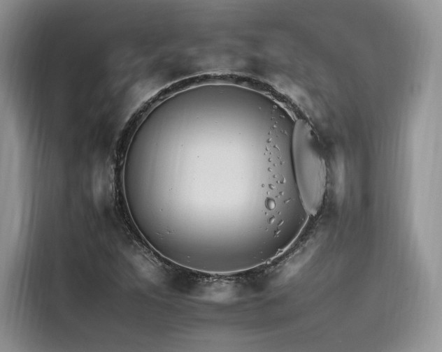 X0000116261263200911301146