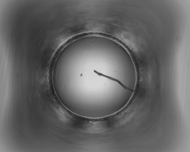 X0000116261264200911301146