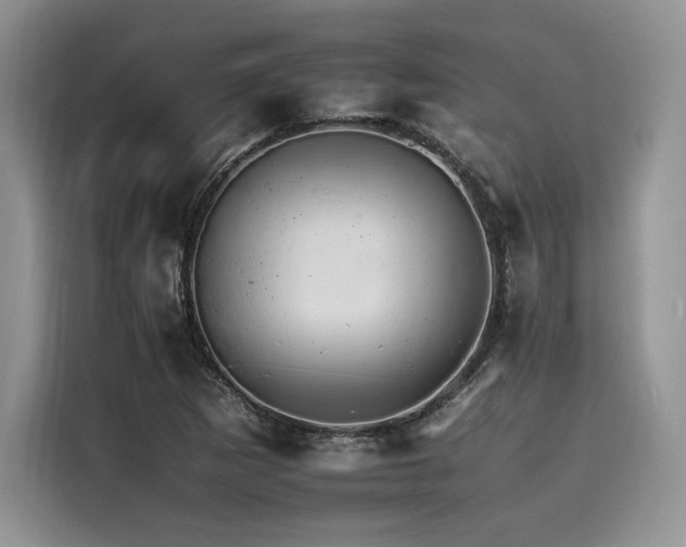 X0000116261265200911301146