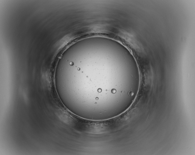X0000116261266200911301146
