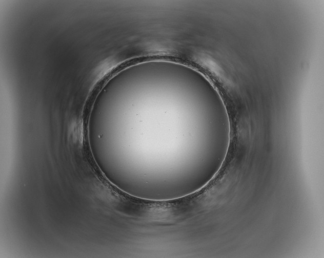 X0000116261267200911301146