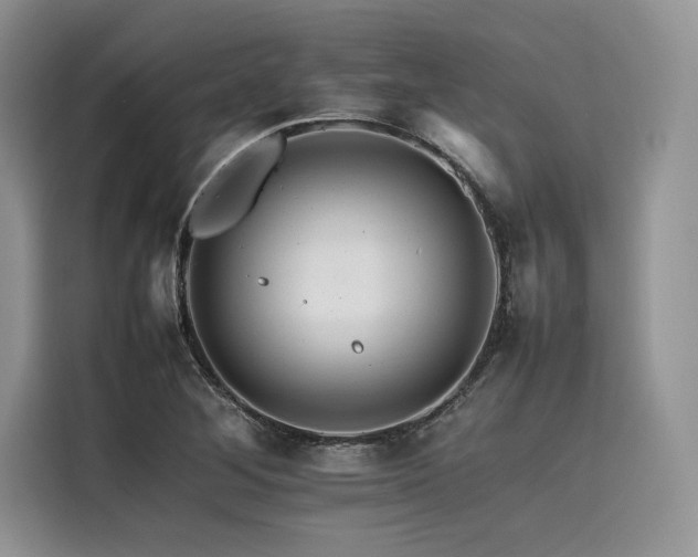 X0000116261268200911301146