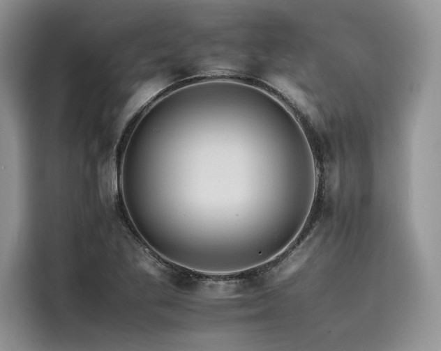 X0000116261269200911301146