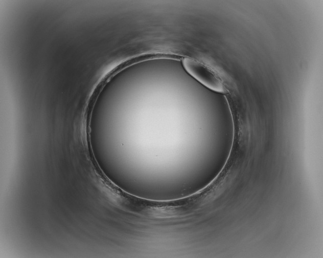 X0000116261272200911301146