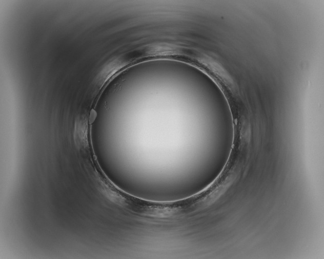 X0000116261273200911301146