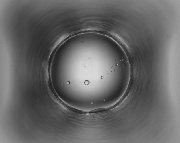 X0000116261274200911301146
