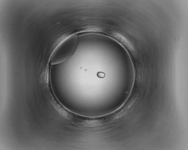 X0000116261276200911301146