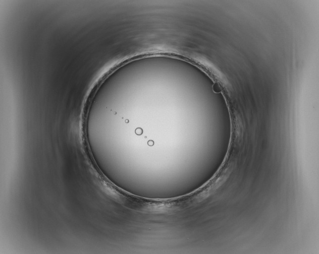 X0000116261278200911301146