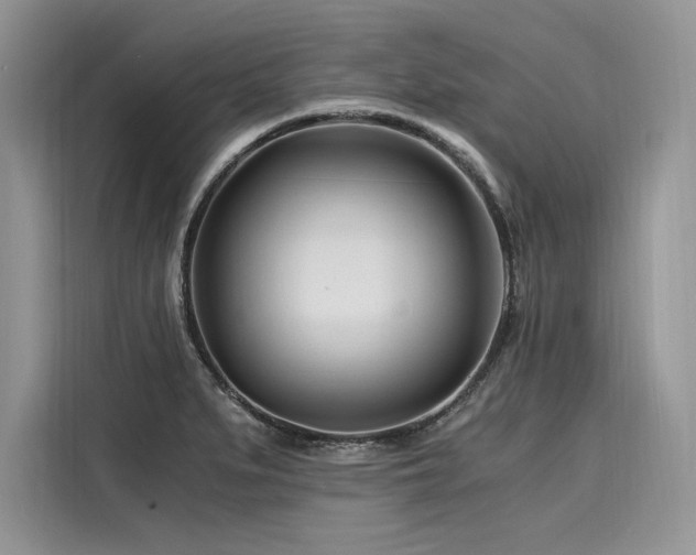 X0000116261279200911301146