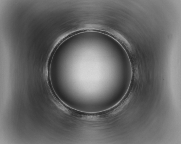 X0000116261280200911301146